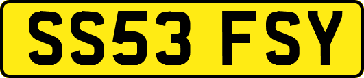 SS53FSY