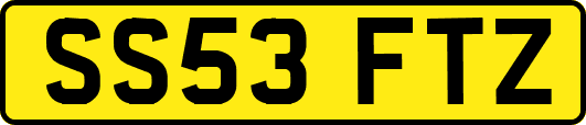 SS53FTZ