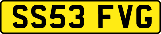 SS53FVG