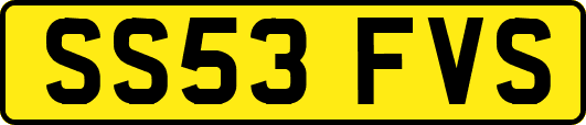 SS53FVS