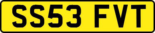 SS53FVT