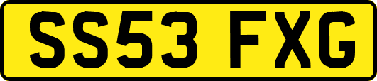 SS53FXG