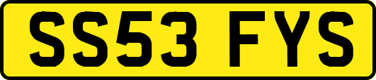 SS53FYS