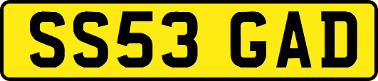 SS53GAD