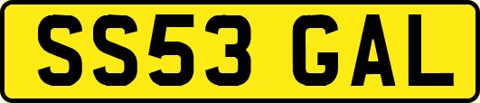 SS53GAL