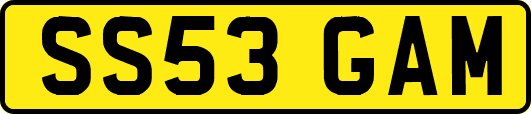 SS53GAM