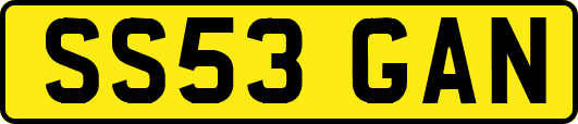 SS53GAN