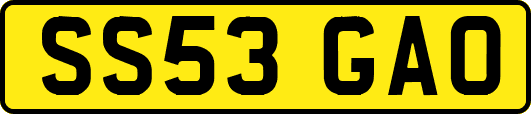 SS53GAO