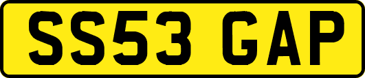 SS53GAP