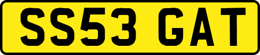 SS53GAT