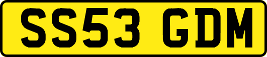 SS53GDM