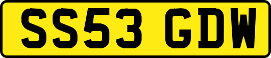 SS53GDW