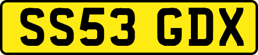 SS53GDX