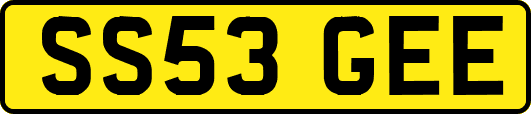 SS53GEE