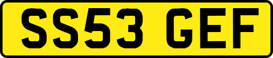 SS53GEF