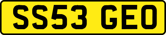 SS53GEO