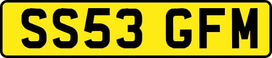 SS53GFM
