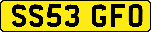 SS53GFO
