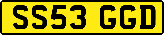 SS53GGD