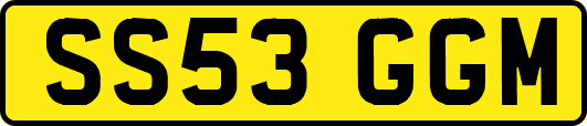 SS53GGM