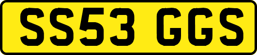 SS53GGS