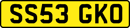 SS53GKO