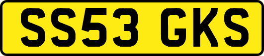SS53GKS