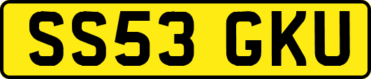 SS53GKU