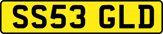 SS53GLD