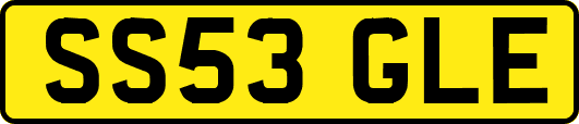 SS53GLE