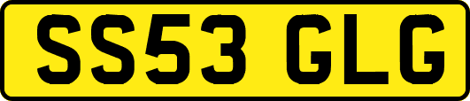 SS53GLG