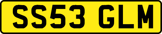 SS53GLM