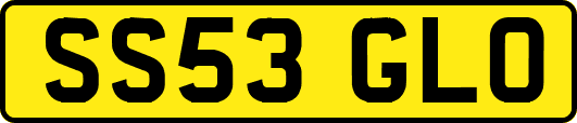 SS53GLO
