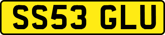 SS53GLU