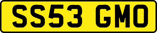 SS53GMO