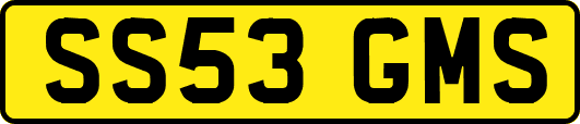SS53GMS