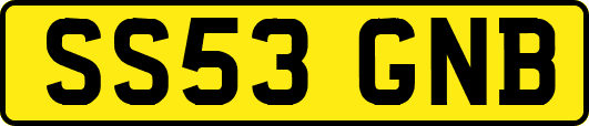 SS53GNB