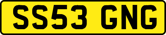 SS53GNG