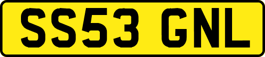 SS53GNL