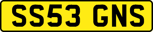 SS53GNS