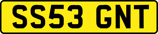SS53GNT
