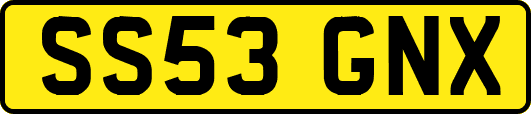 SS53GNX