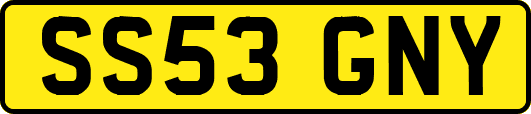 SS53GNY