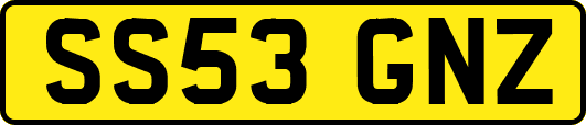 SS53GNZ