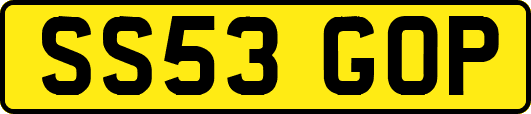 SS53GOP