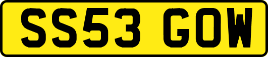 SS53GOW