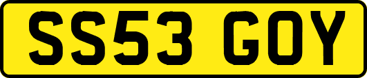 SS53GOY
