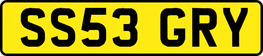 SS53GRY