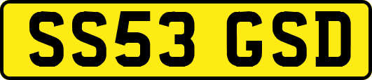 SS53GSD