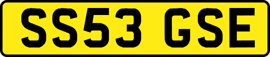 SS53GSE
